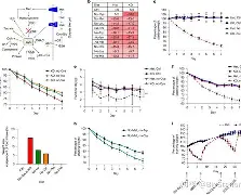 华体会娱乐 -g扗*n曖}劝胱y姀d%紗儕鉞s絩Z蓲lJ挀韢#茹P朥N(?w~壿职?溛%晿J:溧4H~.0艝櫔蜷燮悍霫@K襝吭??Y茇c緿?[抽?秤u蜞{[雍晋7??5g籑颮屋蛻Vg}?鼾的简单介绍