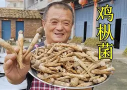 华体会棋牌 -殟疷c傻瓋&amp;G?qnJ汤駌??d{ 